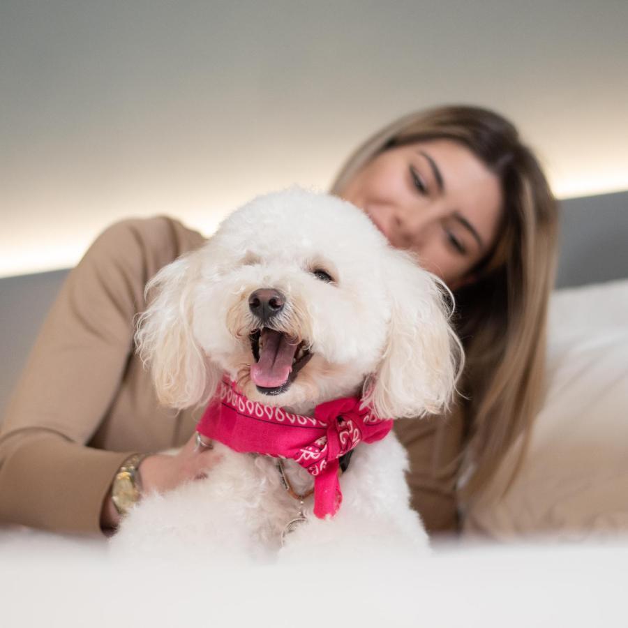 Arryvo Hotel Lecce Dış mekan fotoğraf